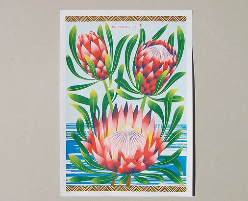 Protea