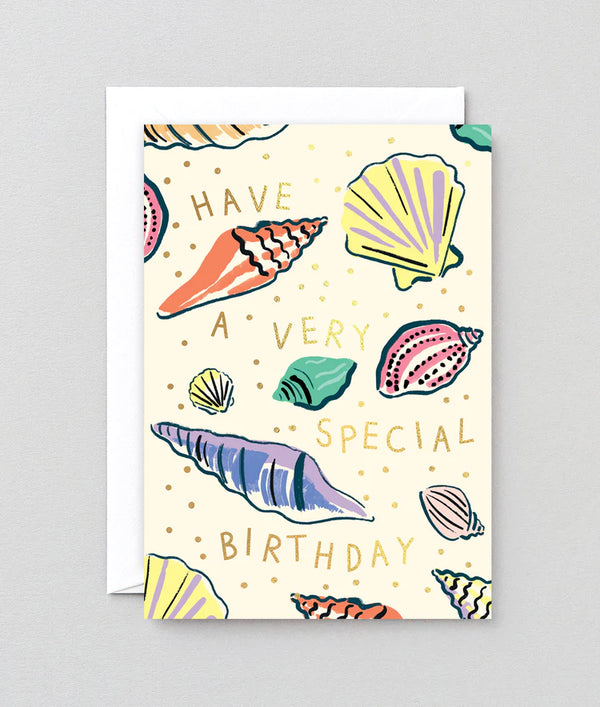 Special Shell Birthday by Wrap