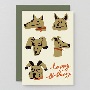Happy Birthday Hounds by Wrap