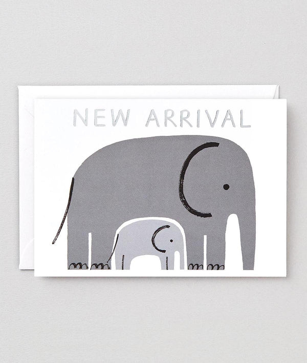 New Arrival Elephants
