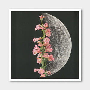 Half Bloom by LocalHotelParking