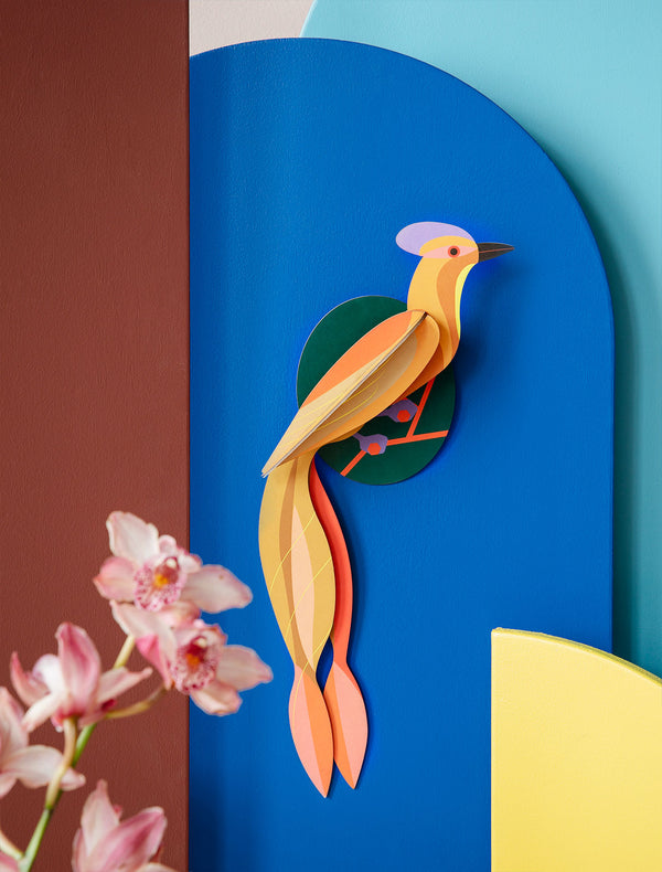 Paradise Bird Olango Wall Decoration