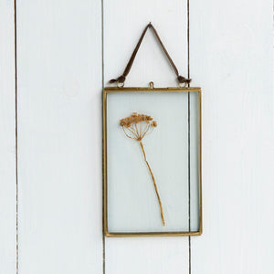 Pressed flower in a small portrait hanging glass frame
