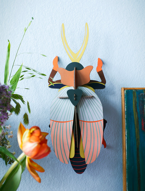 Rhinoceros Beetle Wall Decoration