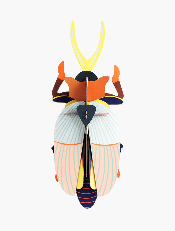 Rhinoceros Beetle Wall Decoration