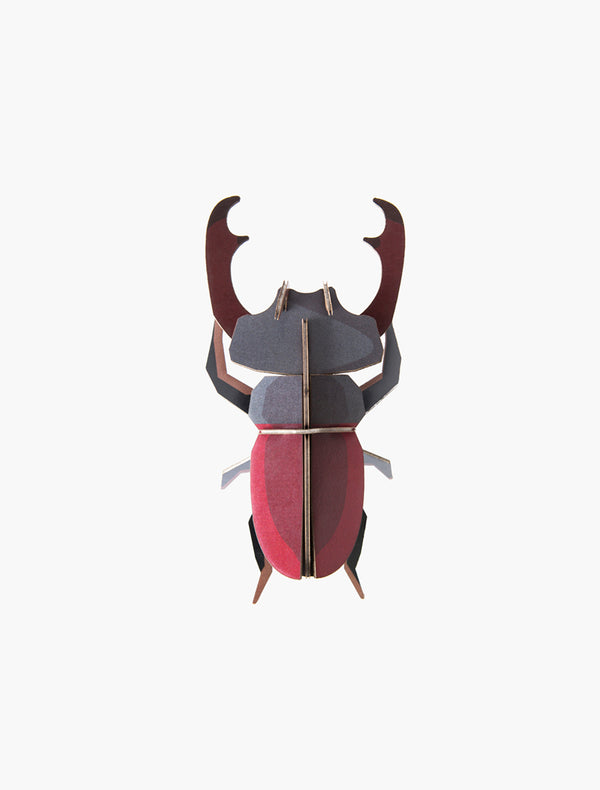 Stag Beetle Wall Decoration