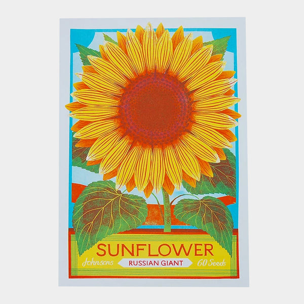 Sunflower by Printer Johnson