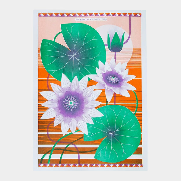 Water Lily by Printer Johnson